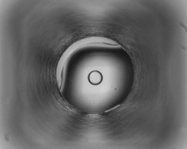 X0000103290528200809122010