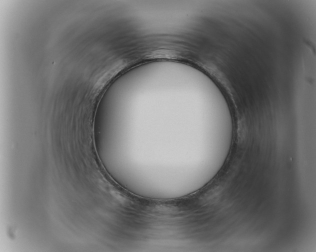 X0000103290529200809122010