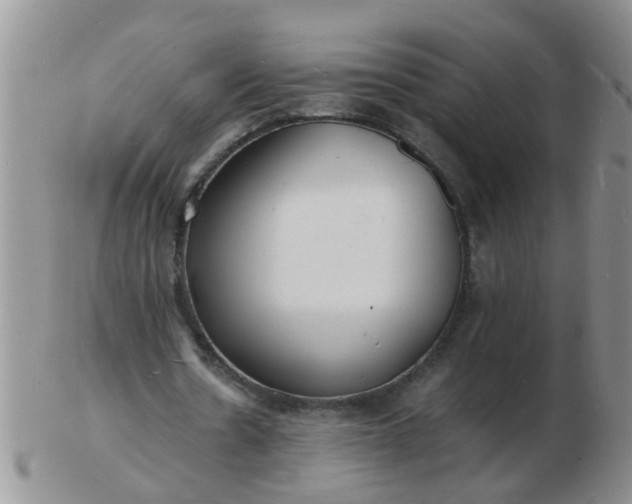 X0000103290530200809122010