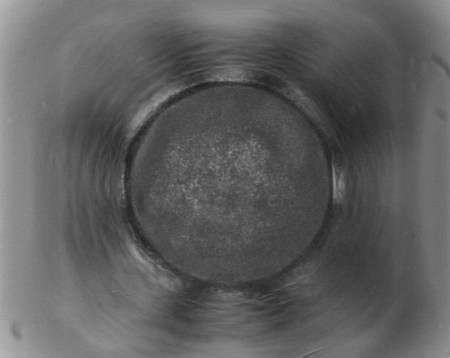 X0000103290531200809122010