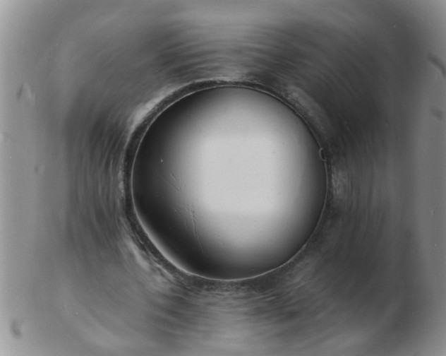 X0000103290532200809122010