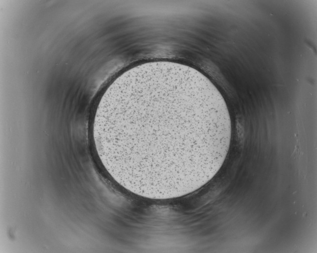 X0000103290534200809122010