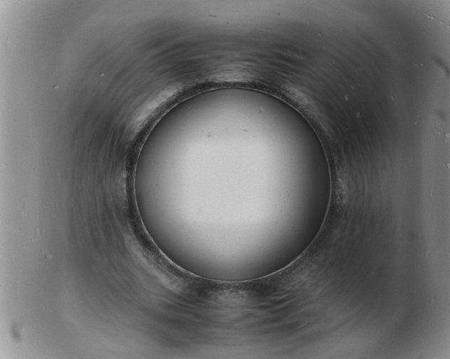 X0000103290535200809122010