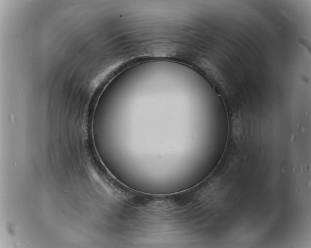 X0000103290536200809122010