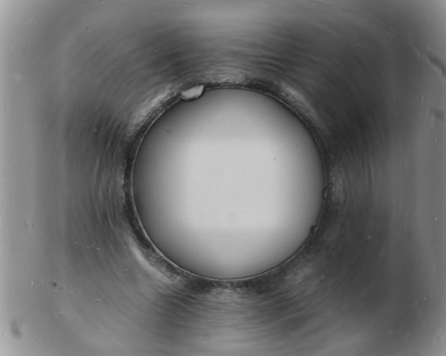 X0000103290538200809122010