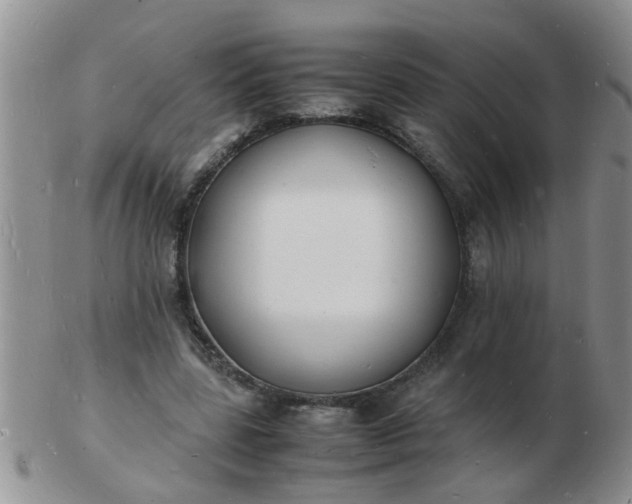 X0000103290539200809122010