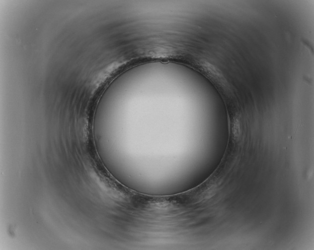 X0000103290540200809122010