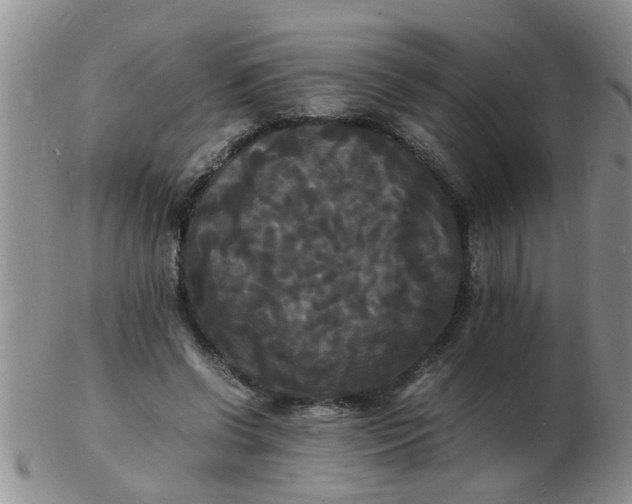 X0000103290542200809122010