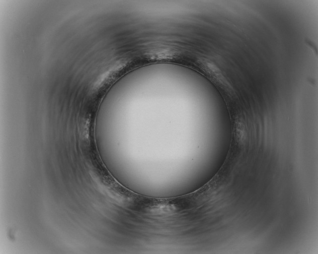 X0000103290543200809122010