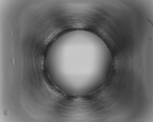 X0000103290544200809122010