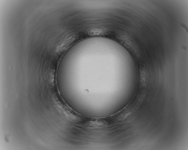 X0000103290545200809122010