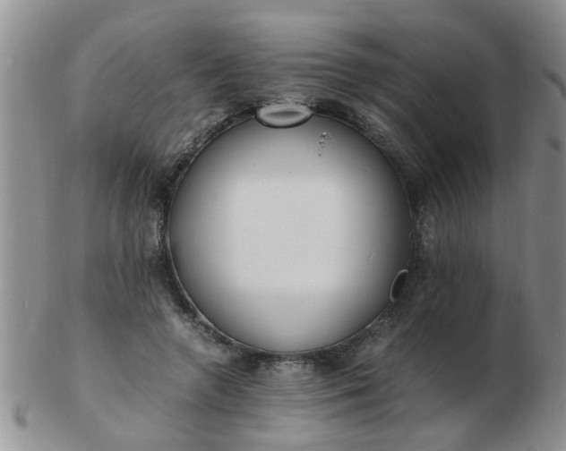 X0000103290546200809122010