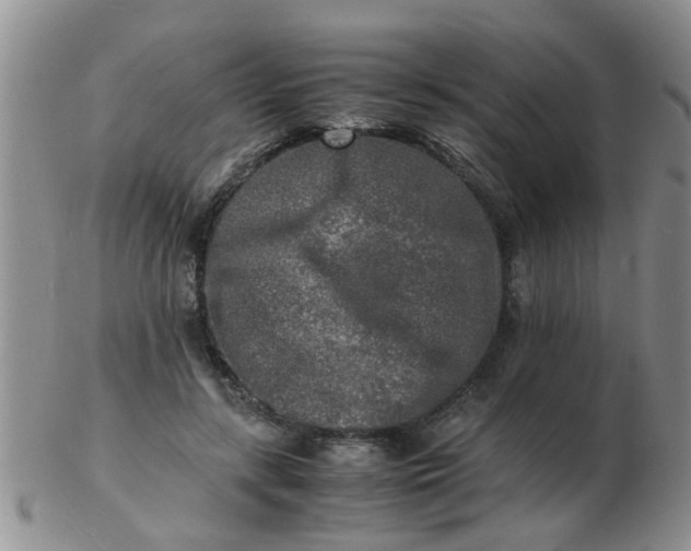 X0000103290547200809122010