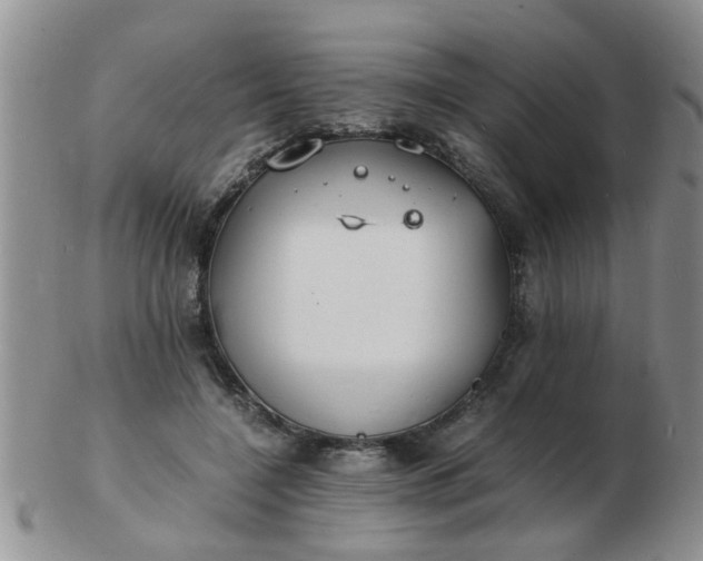 X0000103290548200809122010