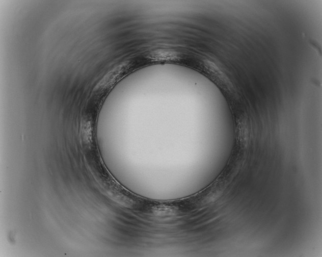 X0000103290549200809122010