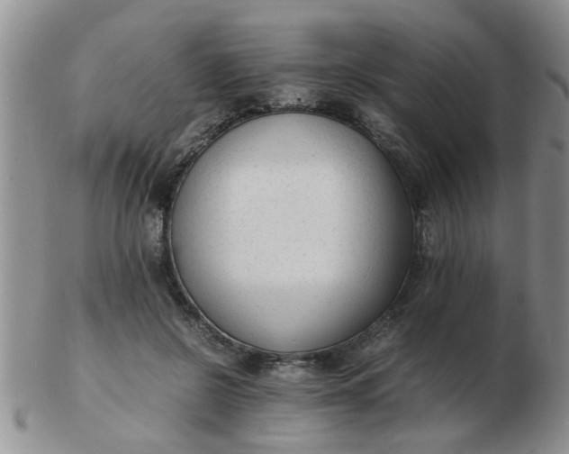 X0000103290550200809122010