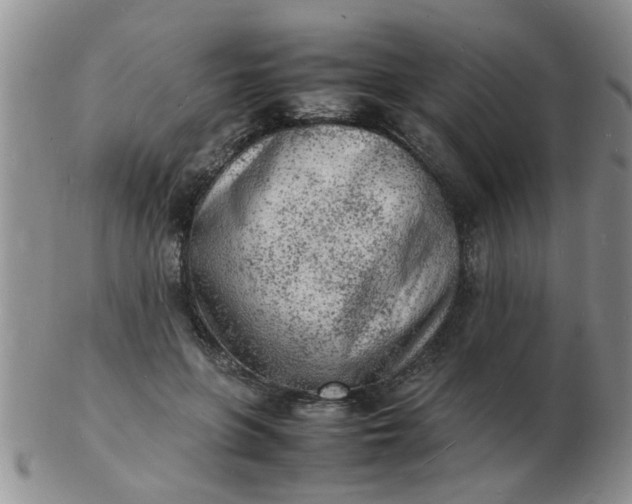 X0000103290551200809122010