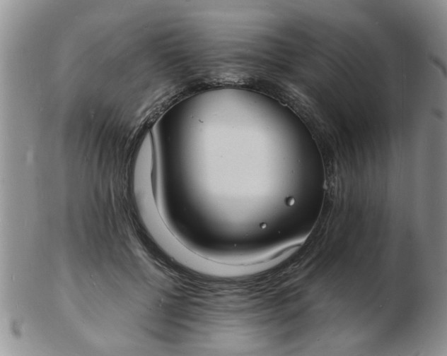 X0000103290552200809122010