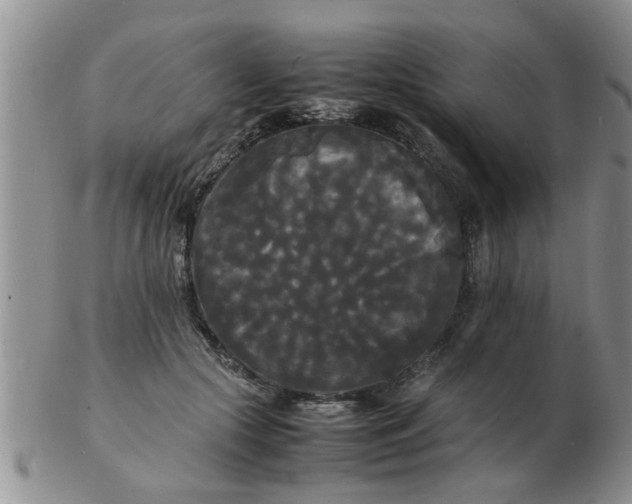 X0000103290553200809122010