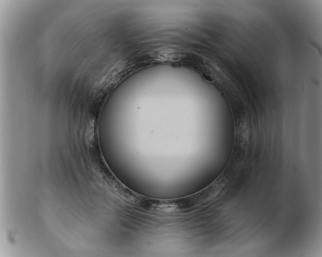 X0000103290554200809122010