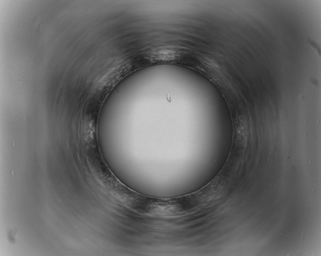 X0000103290555200809122010