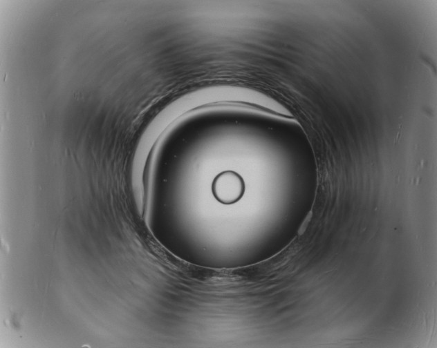 X0000103290556200809122010