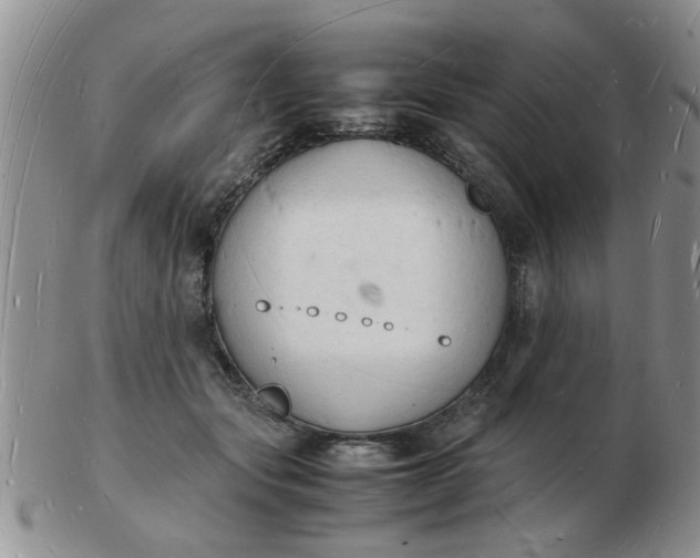 X0000103290557200809122010