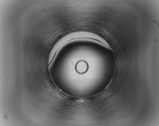 X0000103290558200809122010