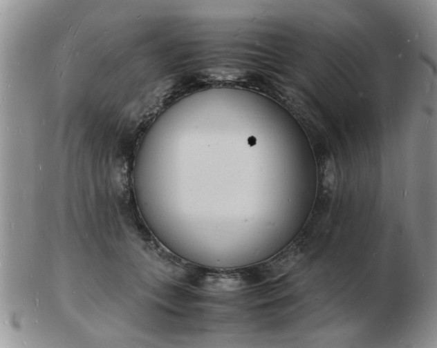 X0000103290559200809122010