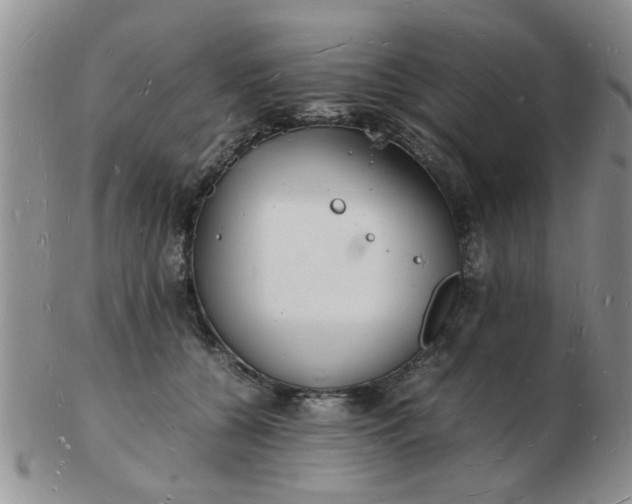 X0000103290560200809122010