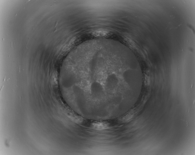 X0000103290561200809122010