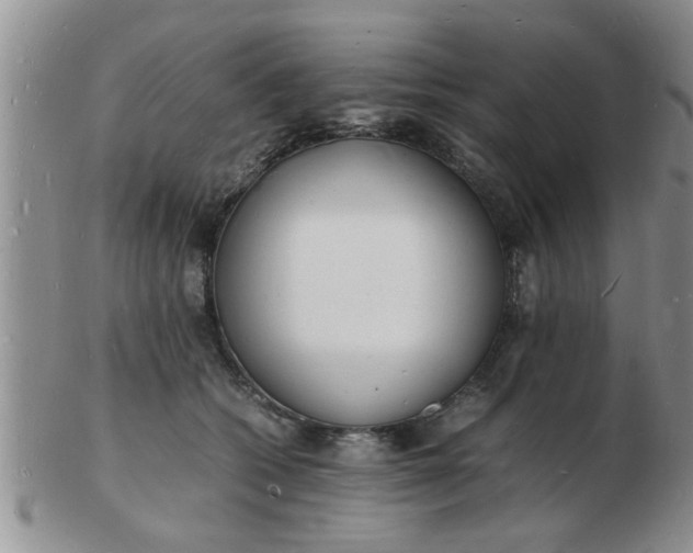 X0000103290562200809122010