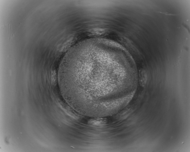 X0000103290563200809122010