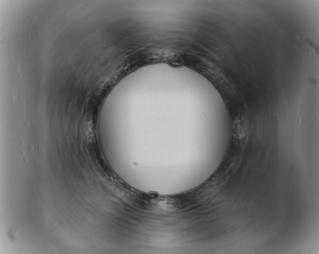 X0000103290564200809122010