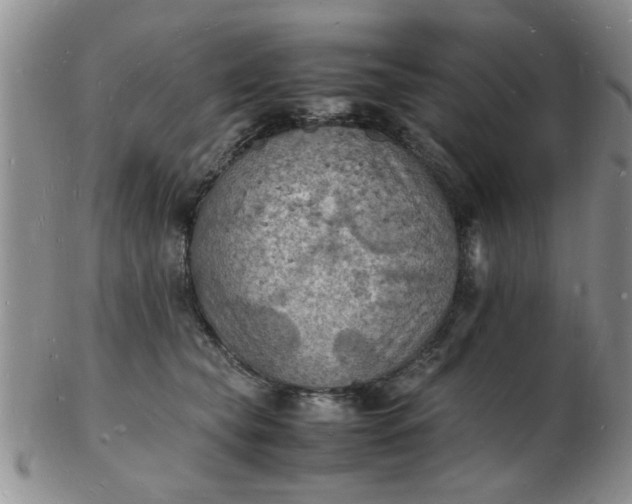 X0000103290565200809122010