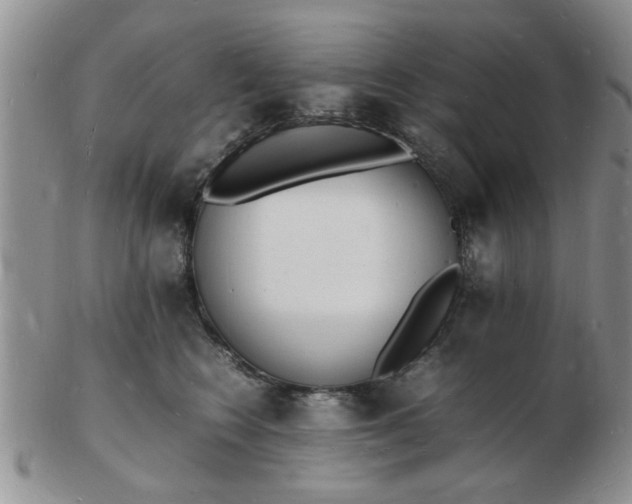 X0000103290566200809122010