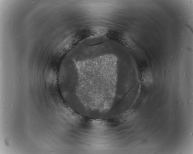 X0000103290568200809122010