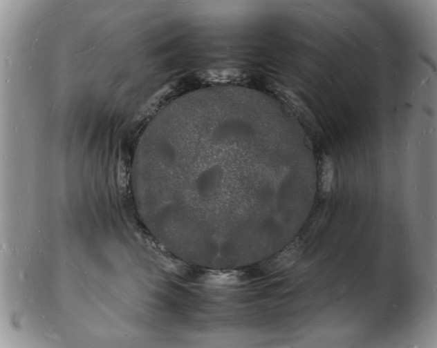 X0000103290569200809122010