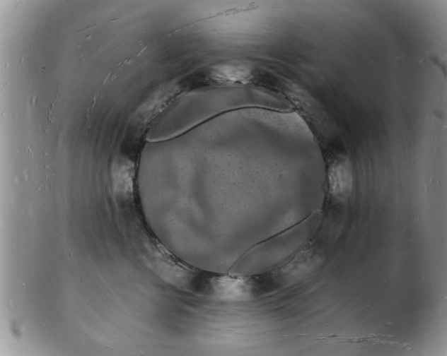 X0000103290570200809122010