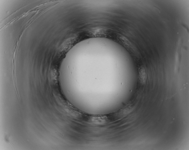 X0000103290571200809122010