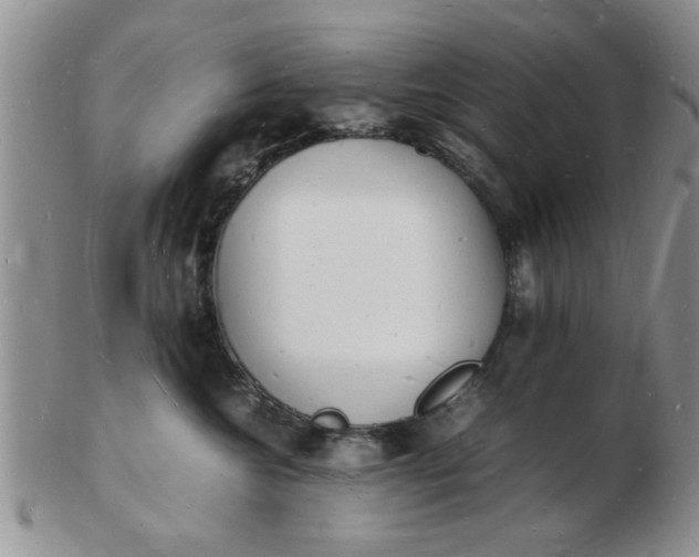 X0000103290572200809122010