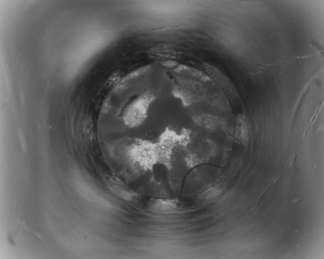 X0000103290573200809122010