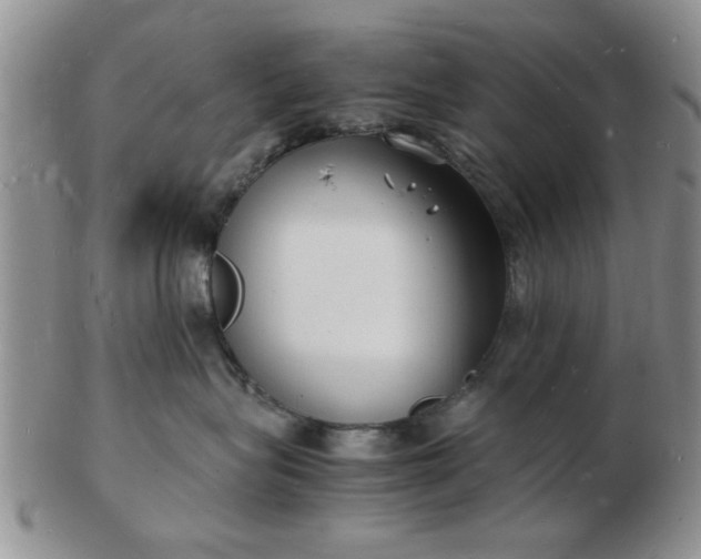 X0000103290575200809122010