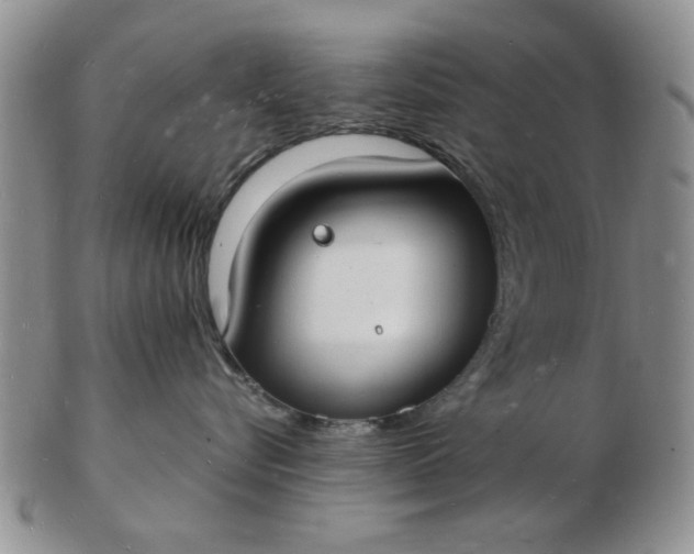 X0000103290576200809122010