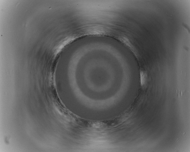 X0000103290579200809122009