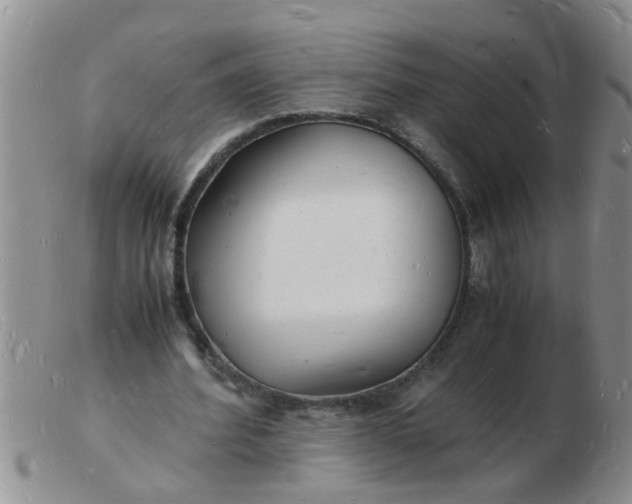 X0000103290580200809122009