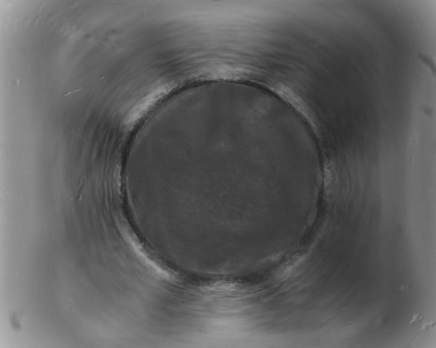 X0000103290581200809122009