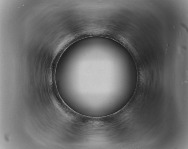 X0000103290582200809122009