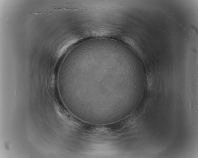 X0000103290583200809122009