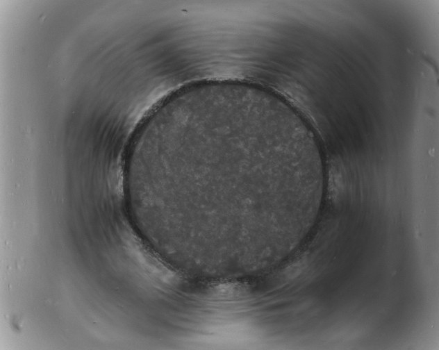 X0000103290584200809122009